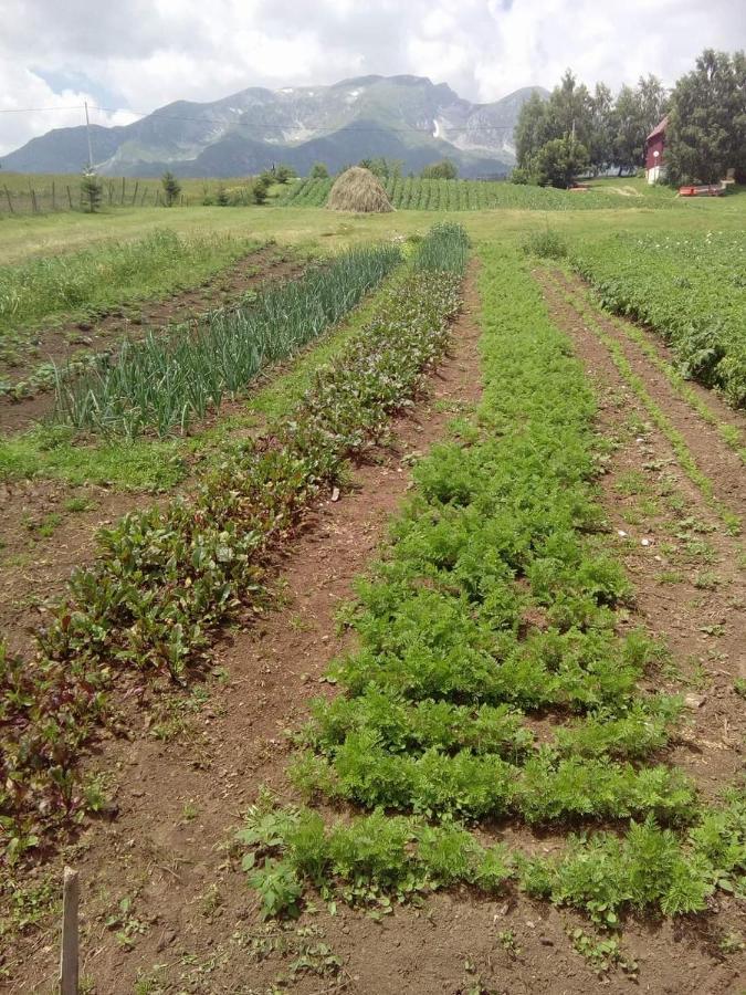 فندق Organic Family Farm جابلياك المظهر الخارجي الصورة