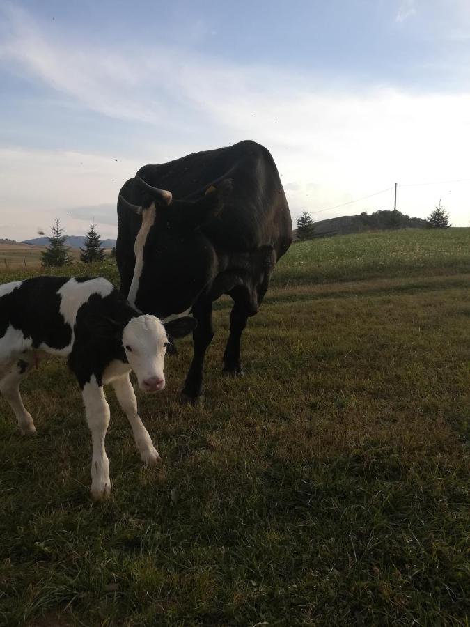 فندق Organic Family Farm جابلياك المظهر الخارجي الصورة