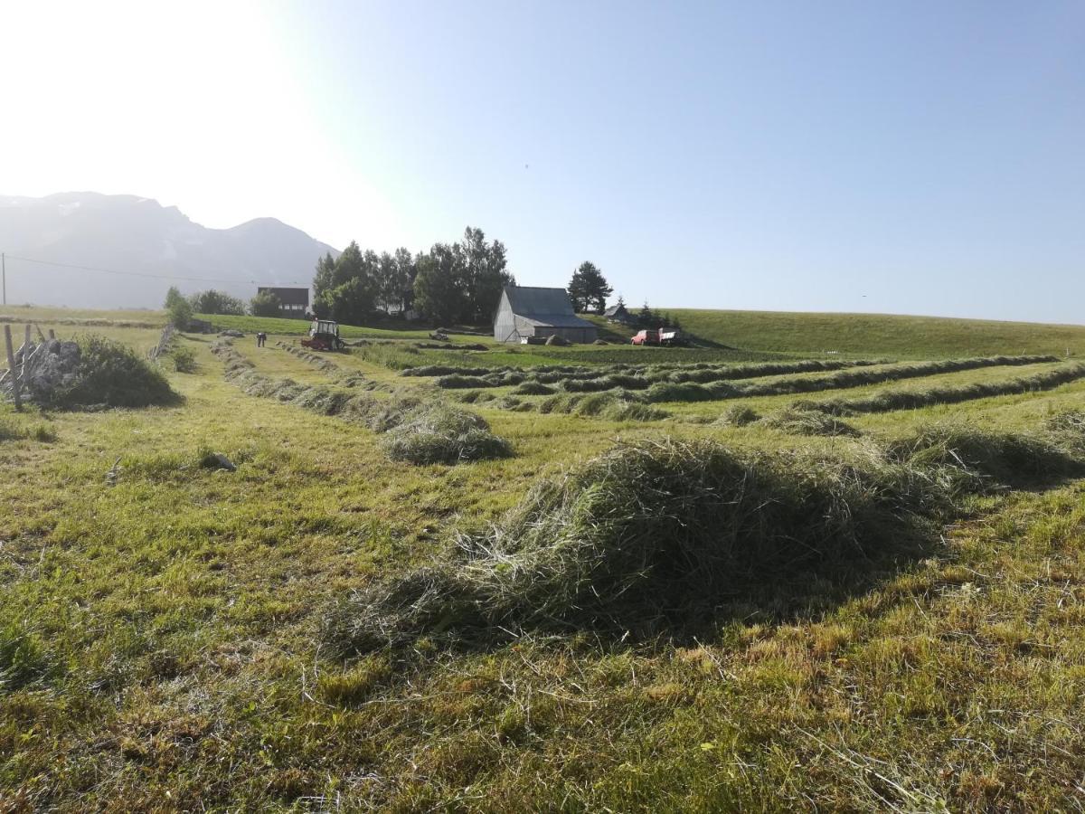فندق Organic Family Farm جابلياك المظهر الخارجي الصورة
