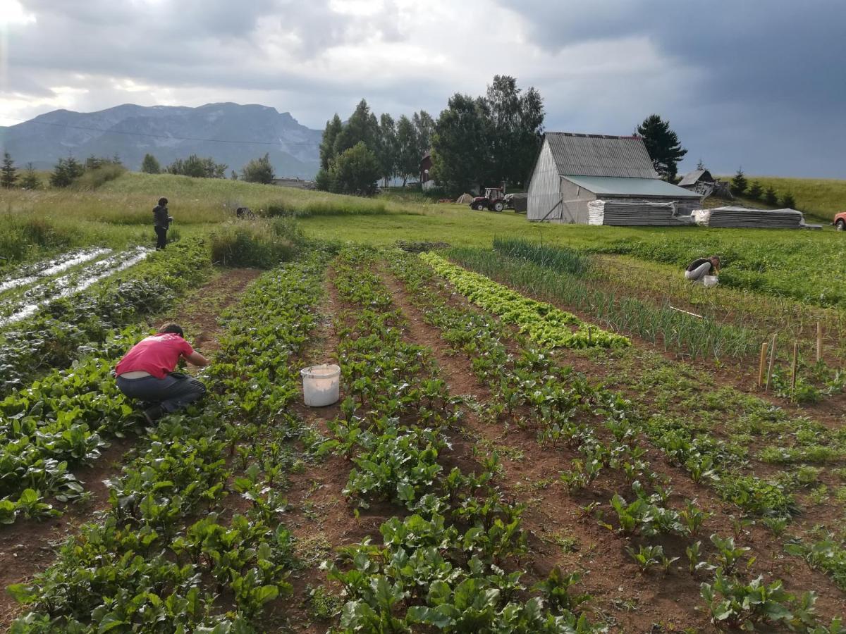 فندق Organic Family Farm جابلياك المظهر الخارجي الصورة