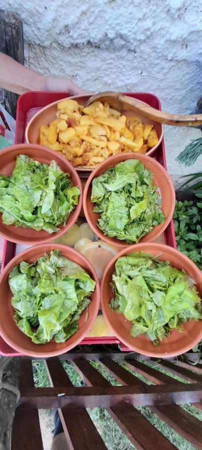 فندق Organic Family Farm جابلياك المظهر الخارجي الصورة