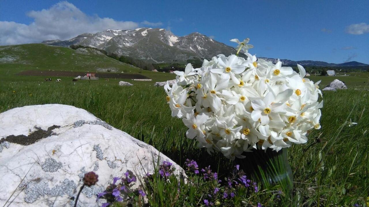 فندق Organic Family Farm جابلياك المظهر الخارجي الصورة
