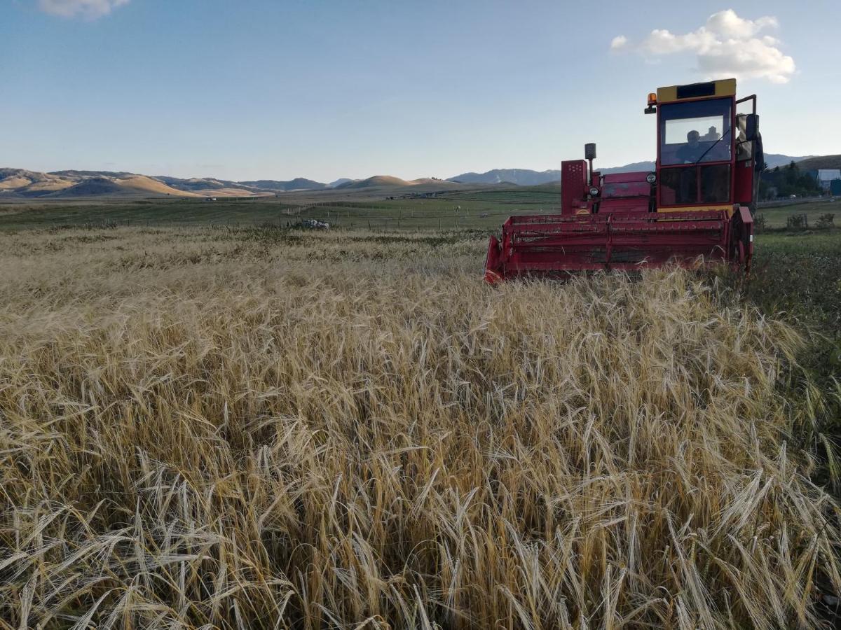 فندق Organic Family Farm جابلياك المظهر الخارجي الصورة